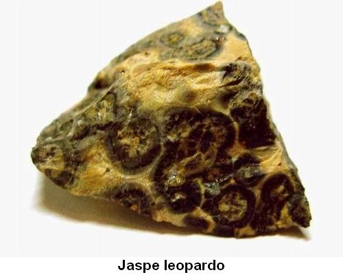 Jaspe leopardo.jpg